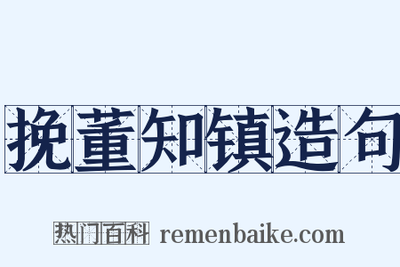 挽董知镇造句是什么意思的图片